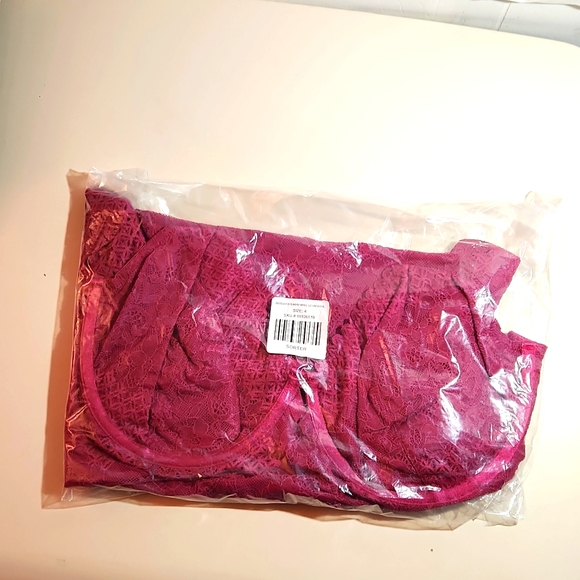 ❤️NWT VINTAGE TORRID LINGERIE BODYSUIT UNDERWIRE LACE FUSCHIA UNLINED - SIZE 4X - Picture 3 of 9
